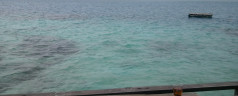 Pulau Macan! – December 2011 Part 3